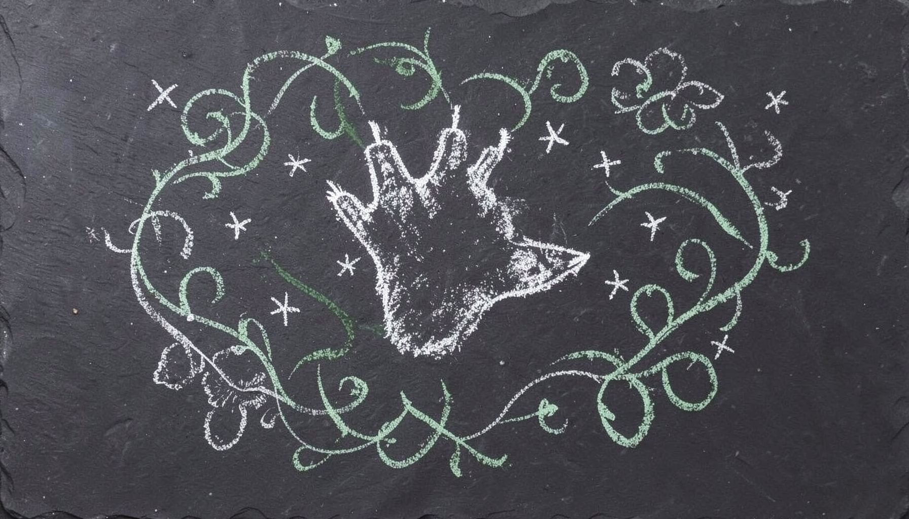 A chalk drawing on a dark slate board showing a stylised cat paw with delicate claws extended, surrounded by swirling floral vines and tiny stars, in soft white and pale green chalk against the deep charcoal slate.